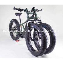 Electric Juggernaut Mdv Series 1000W Middle Motor 60V 17ah OEM/ODM Fat Tire Three Wheels Electric Bike